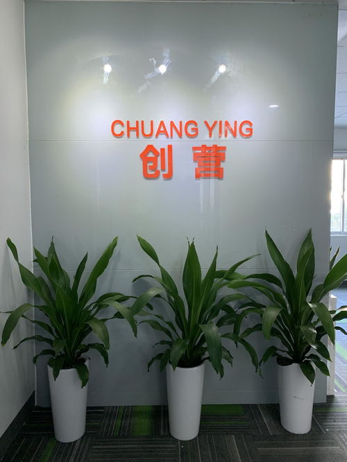 深圳市創(chuàng)營網絡科技