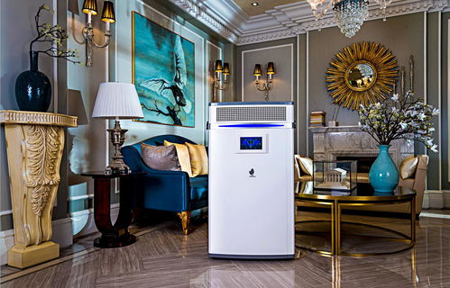 洛陽新雨環?？萍寂l價格 洛陽新雨環?？萍忌a廠家